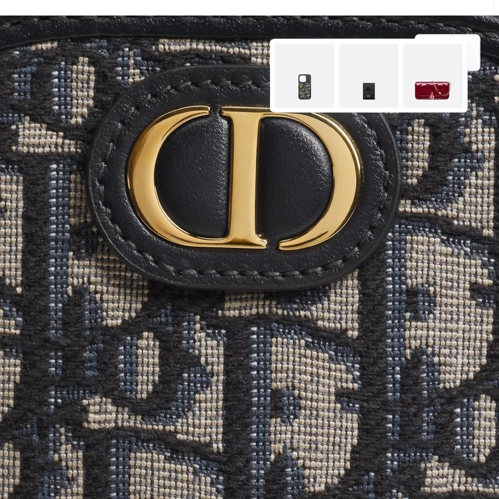 Dior oblique Bag - Picture 4 of 16